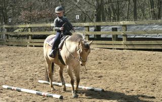 petite fille suivant un cours d'équitation