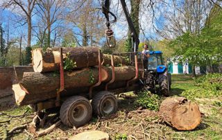 Chargement tronc d'arbres