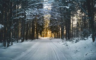 Une marche hivernale